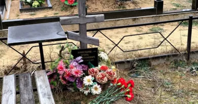 Могила Аникушина Игоря Валентиновича